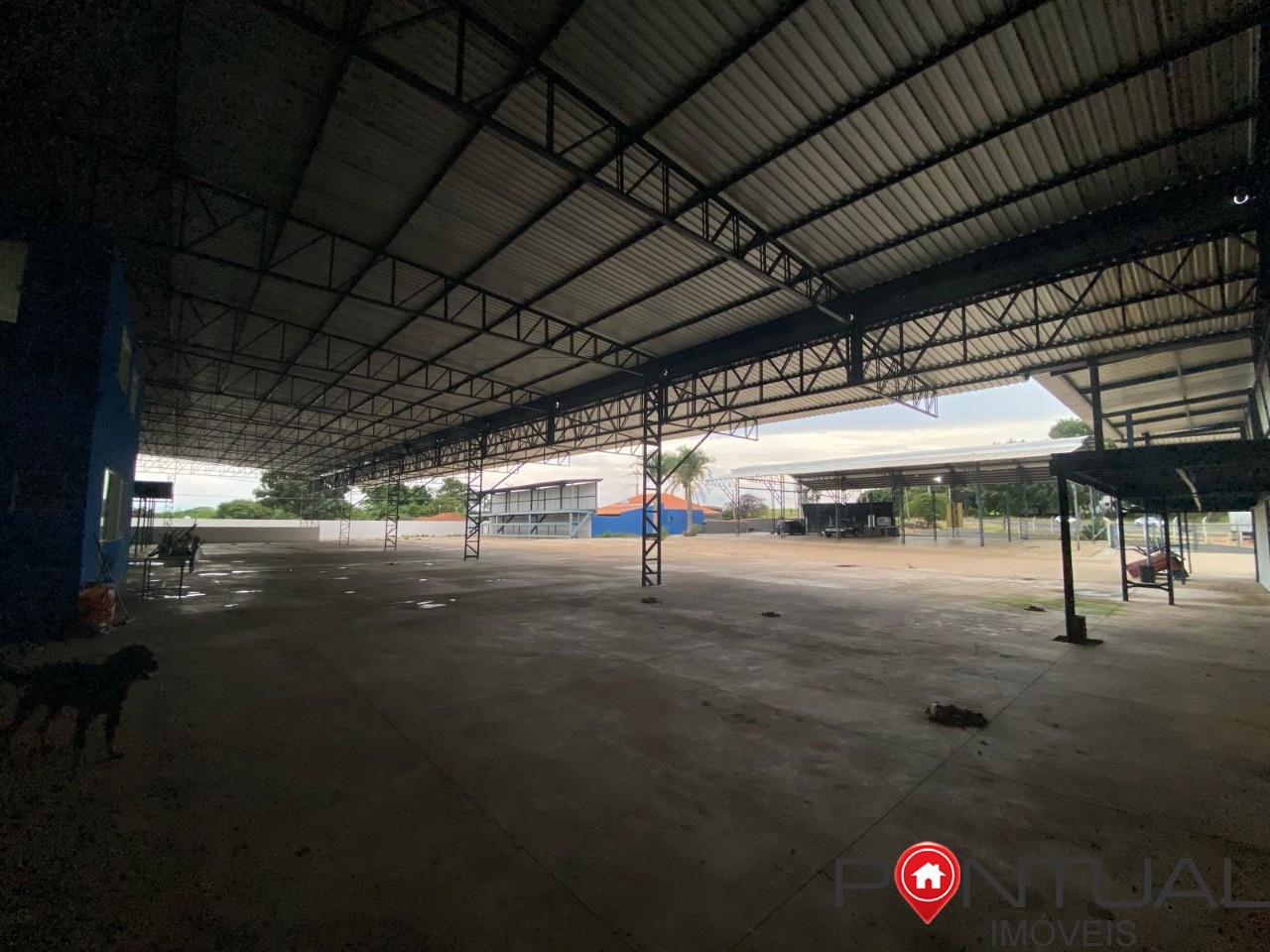 Barracão 4.000 m² br-153 marília para venda e locação agende