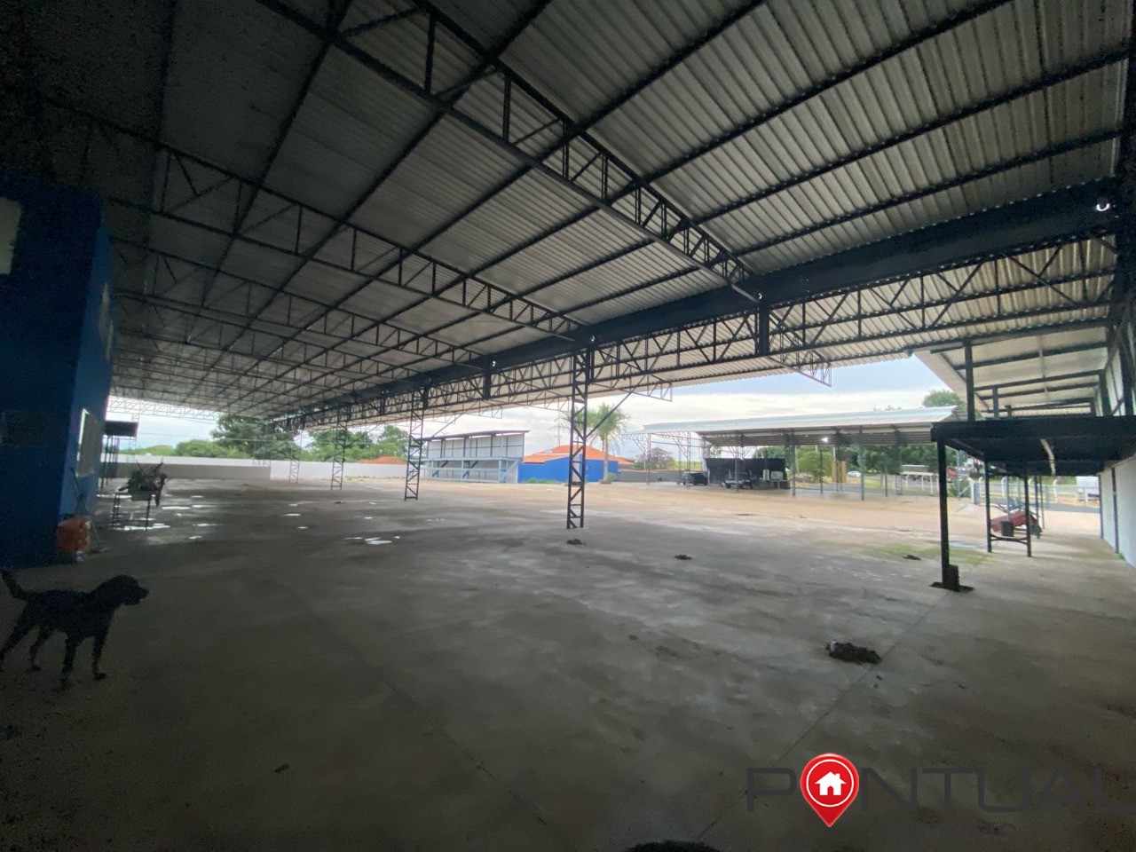 Barracão 4.000 m² br-153 marília para venda e locação agende