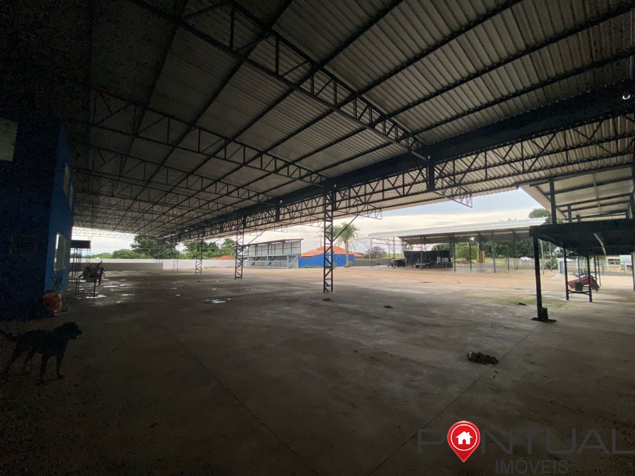 Barracão 4.000 m² br-153 marília para venda e locação agende
