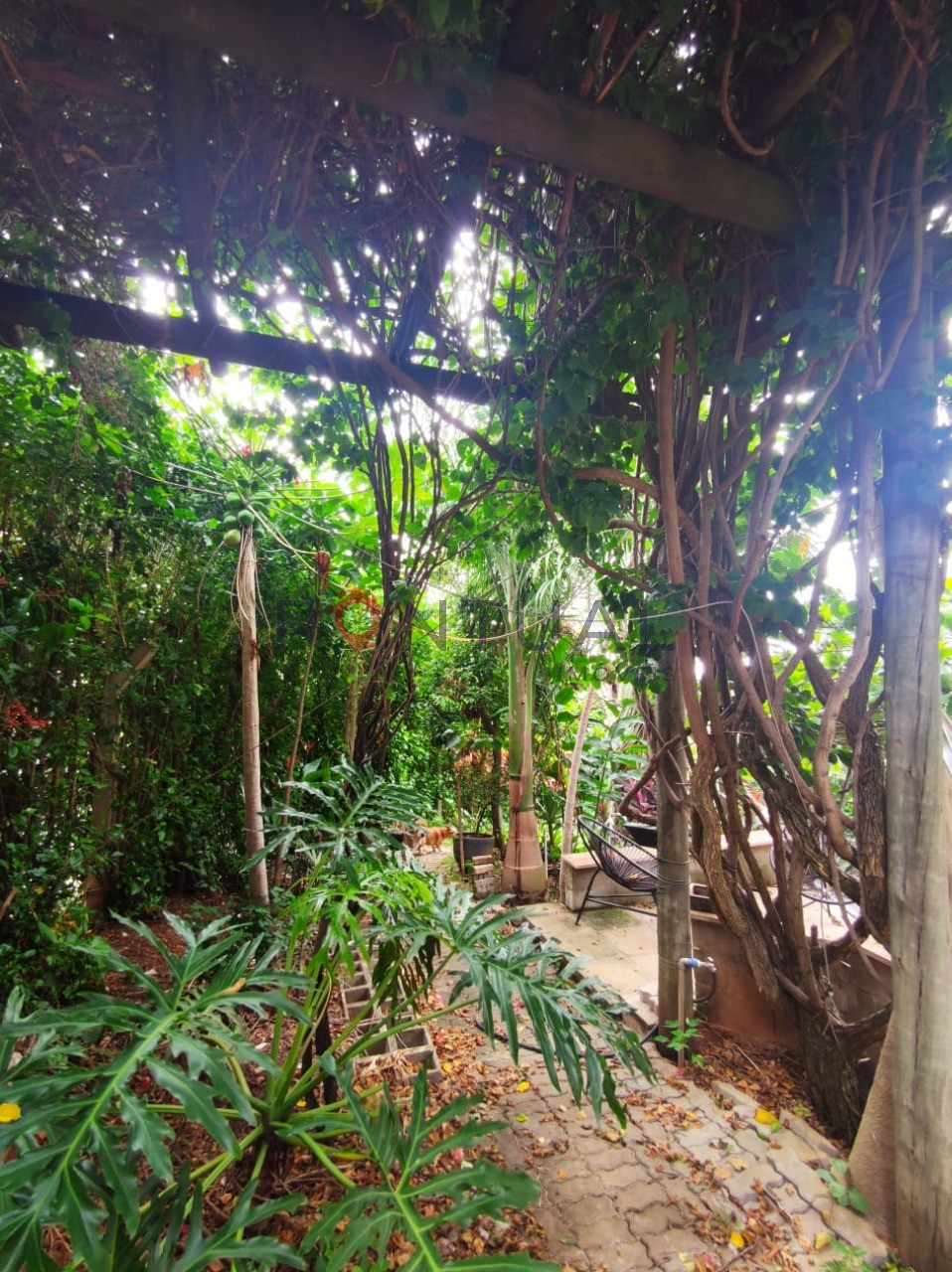 Casa venda jardim acapulco marília sp 3 quartos, 1 suíte, pi