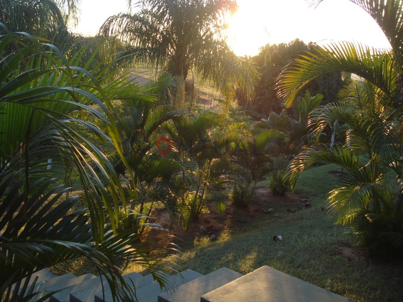 Chácara Venda Sítios Recreio Terras Boa Vista Marília SP 4 Quartos Piscina R$ 950 mil. Conheça e negocie c/ Pontual Imóveis sua imobiliária em Marília