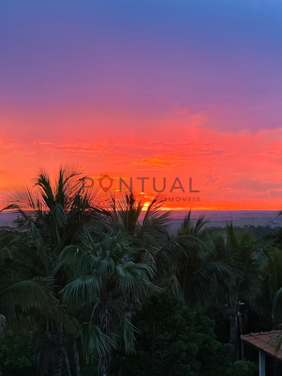 Chácara Venda Sítios Recreio Terras Boa Vista Marília SP 4 Quartos Piscina R$ 950 mil. Conheça e negocie c/ Pontual Imóveis sua imobiliária em Marília