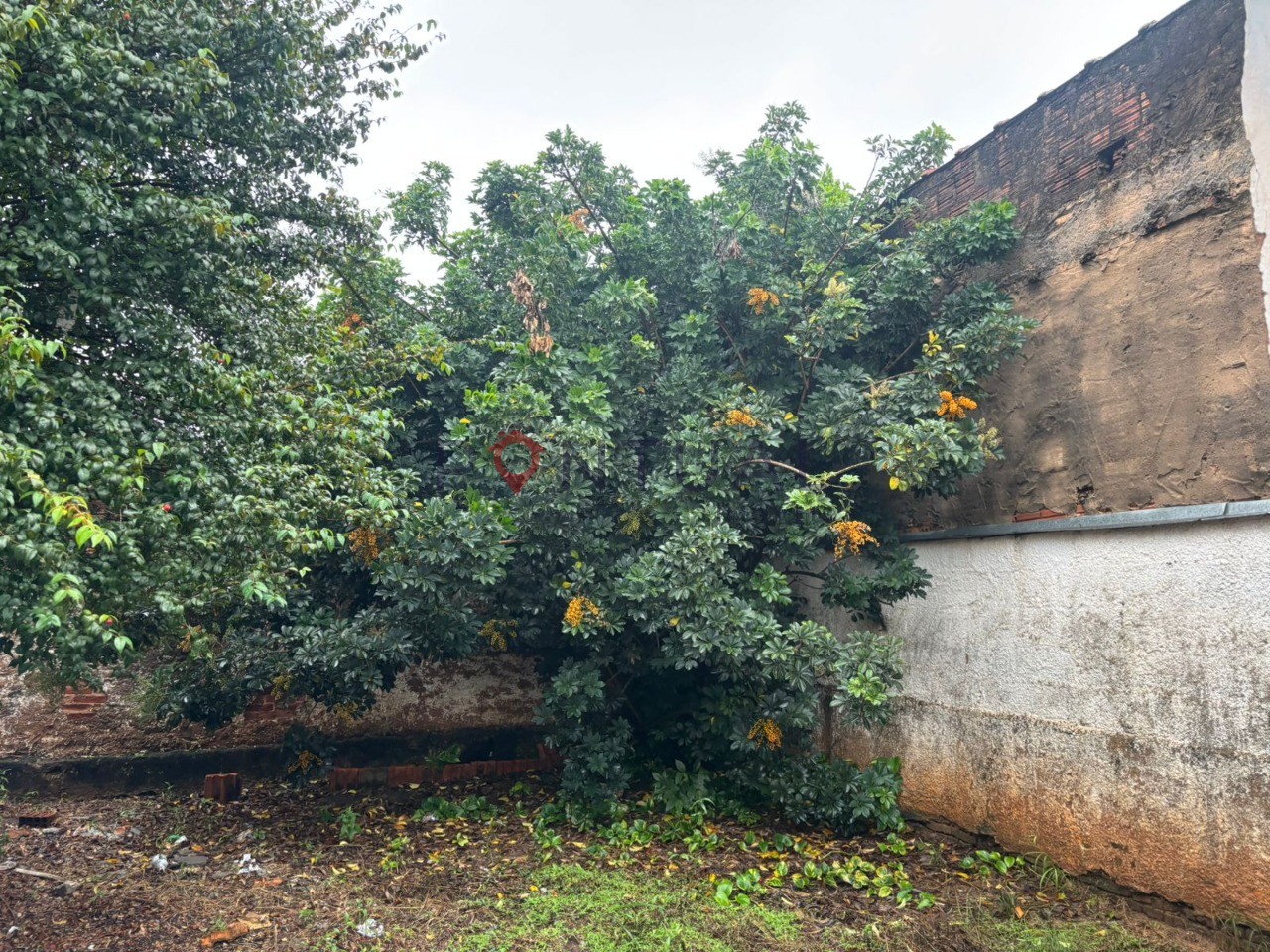 Casa à venda em Marília próximo ao centro