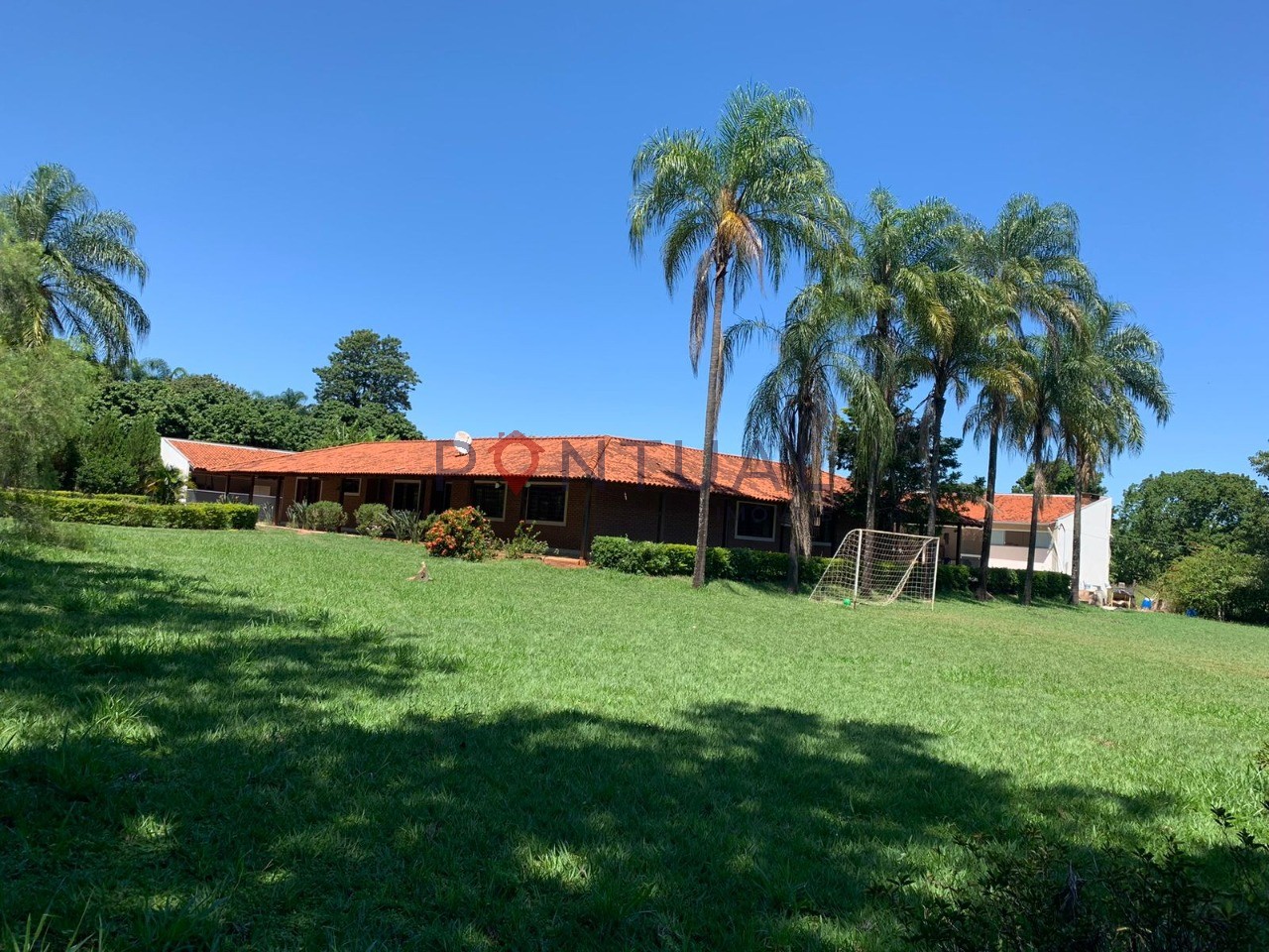 Imperdível oportunidade