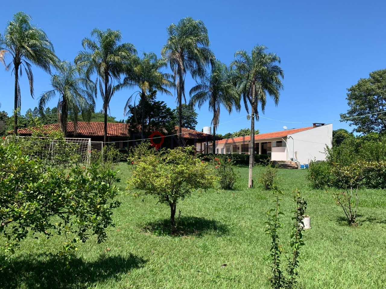Imperdível oportunidade