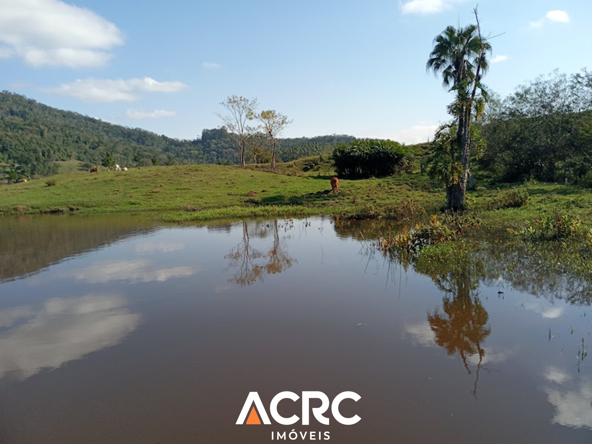 ACRC IMÓVEIS - Amplo Terreno (Área Rural) à Venda no Bairro Encano em Indaial — foto 5