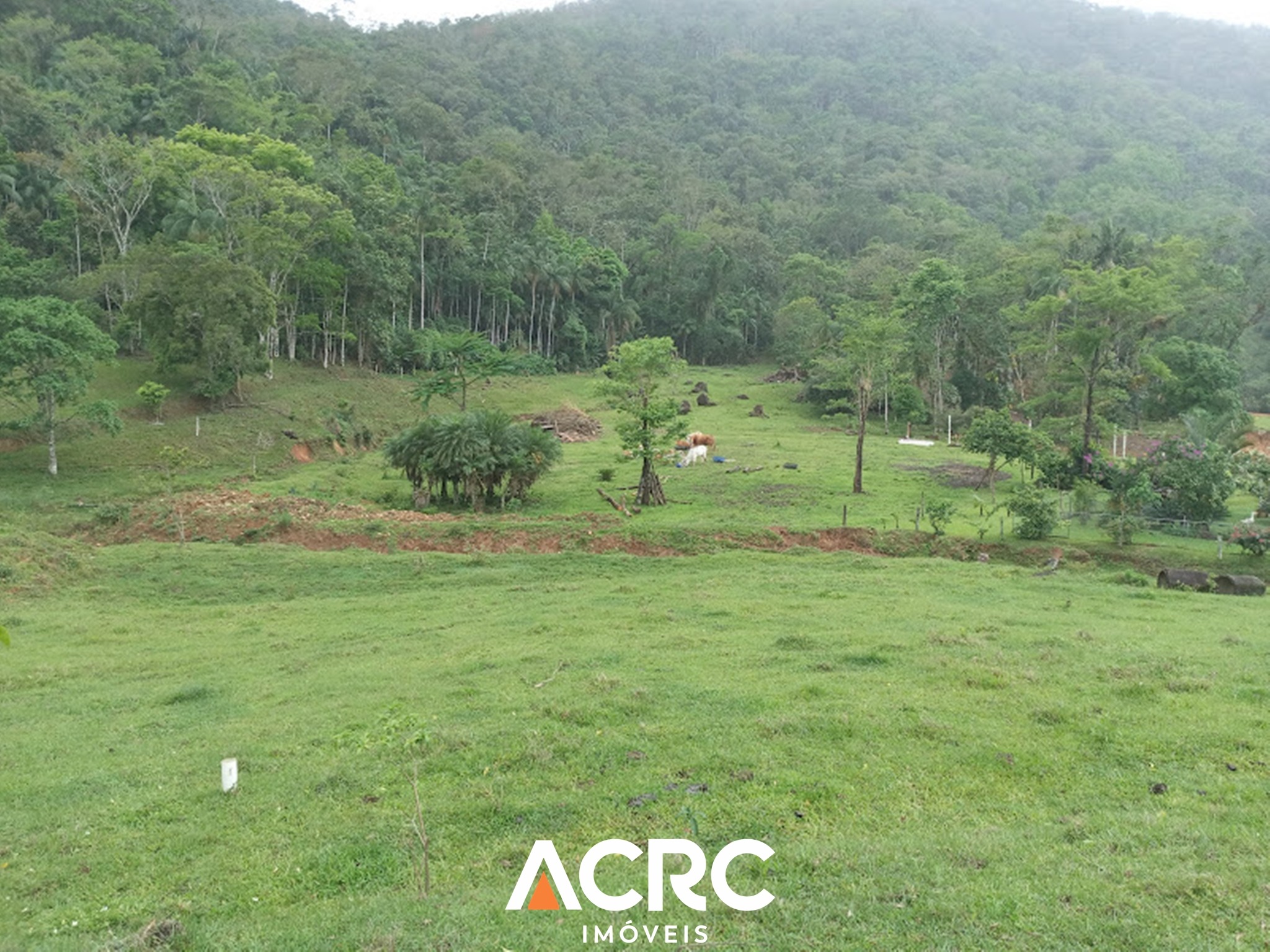 ACRC IMÓVEIS - Amplo Terreno (Área Rural) à Venda no Bairro Encano em Indaial — foto 2