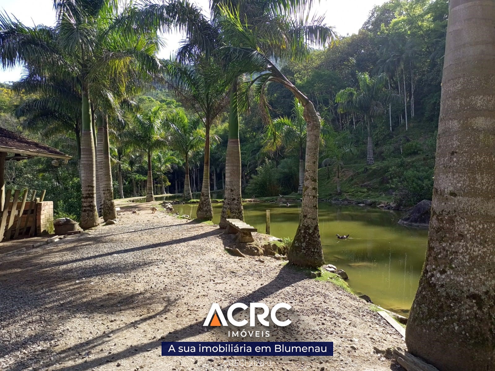 ACRC Imóveis - ST00082 - Sítio para Venda em Timbó no Bairro Dona Clara - foto 1
