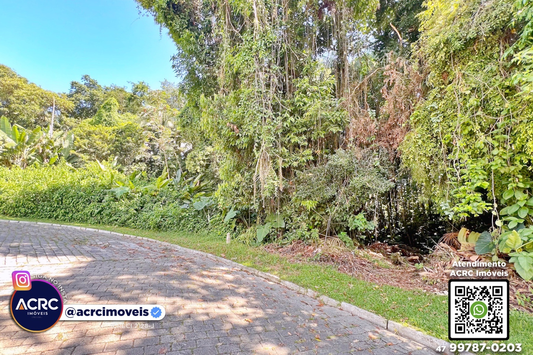 ACRC Imóveis - TE01308 - Terreno com um total de 6.693m a Venda no Bairro Itoupava Seca — foto 2