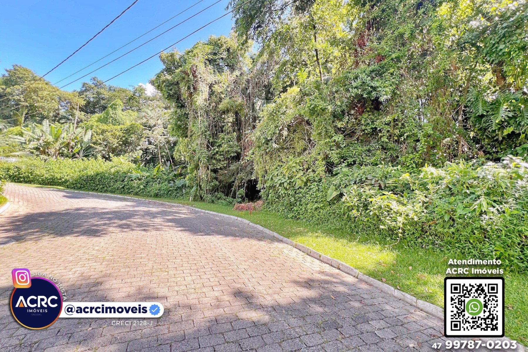 ACRC Imóveis - TE01308 - Terreno com um total de 6.693m a Venda no Bairro Itoupava Seca - foto 1