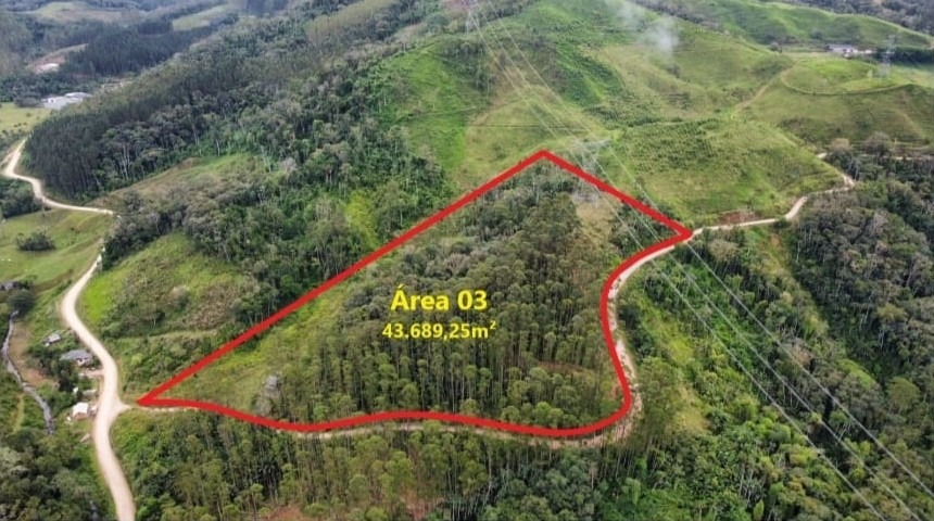 ACRC Imóveis - TE01351 - Terreno a Venda no Bairro Arraial D''Ouro em Gaspar — foto 6