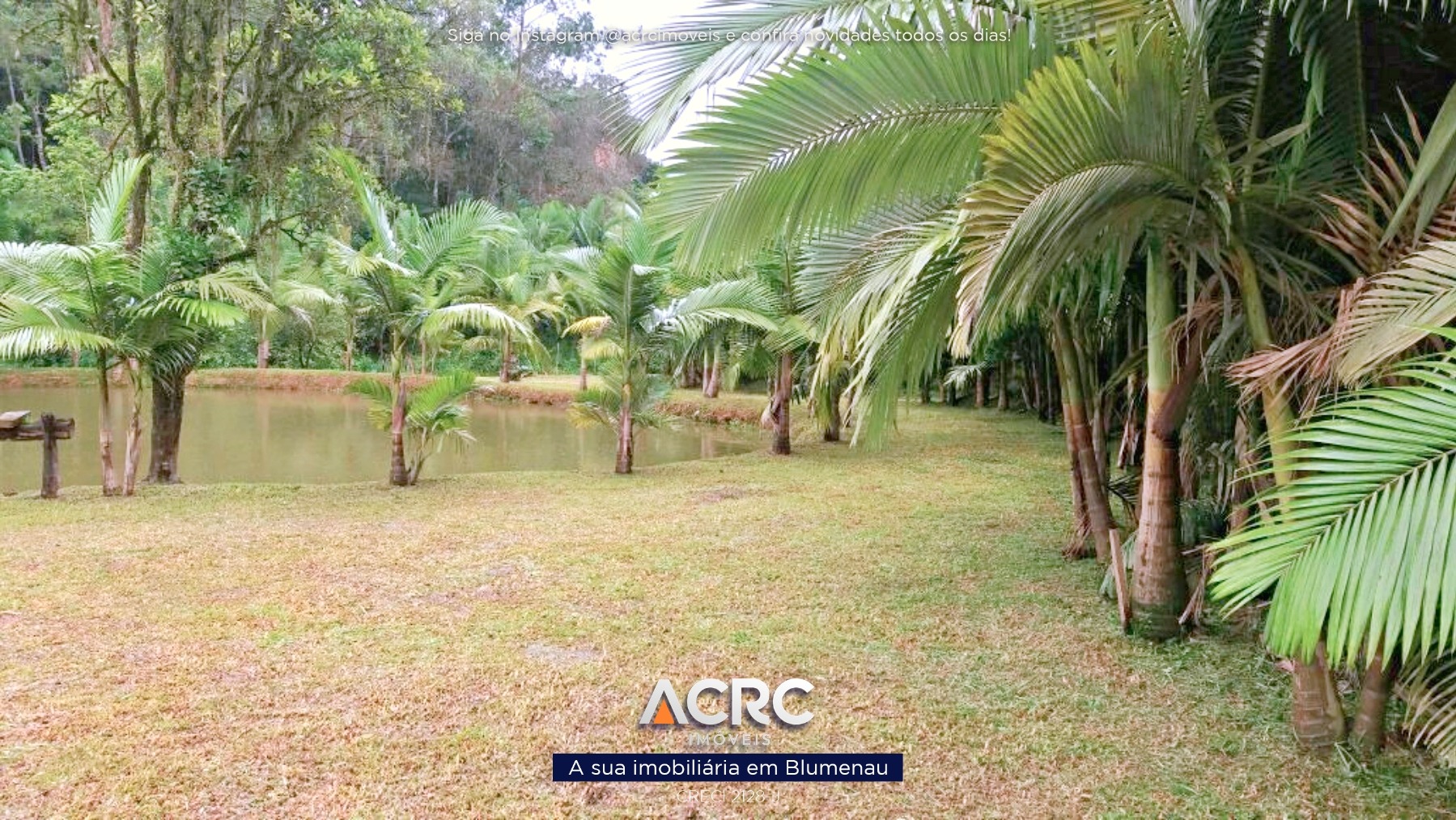 ACRC Imóveis - TE01368 - Terreno à venda no Bairro Itoupava Central em Blumenau — foto 6