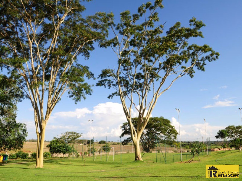 Casa de Condomínio com 4 quartos à venda, 450m² — foto 30 de 30