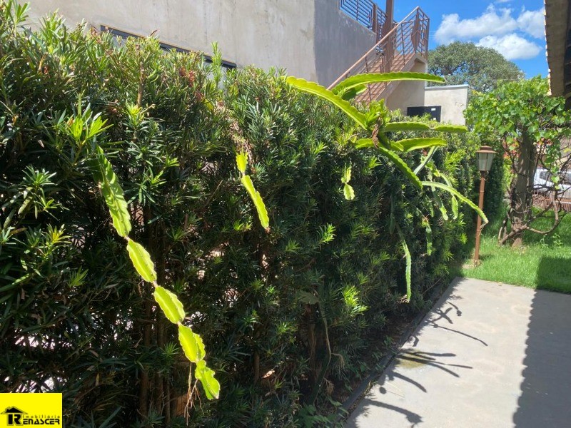 Casa de Condomínio com 3 quartos à venda, 450m² — foto 46 de 46