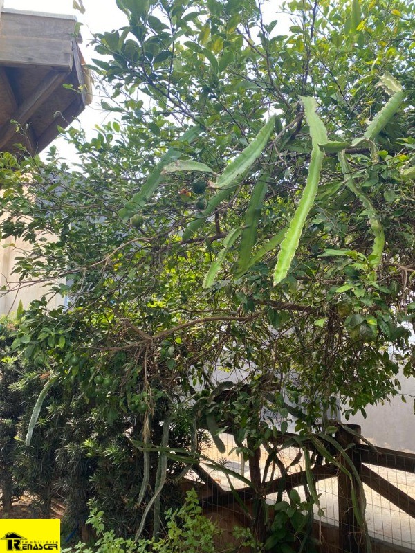 Casa de Condomínio com 3 quartos à venda, 450m² — foto 40 de 46