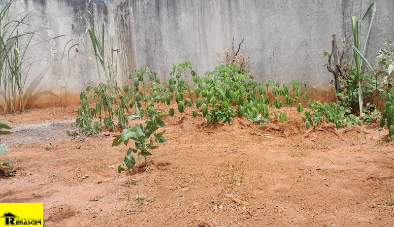 Terreno / Lote / Condomínio  à venda, 240m² — foto 12 de 16
