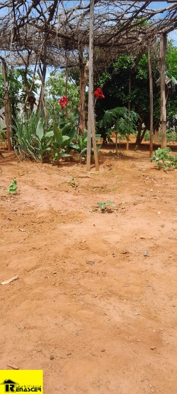 Terreno / Lote / Condomínio  à venda, 240m² — foto 9 de 16