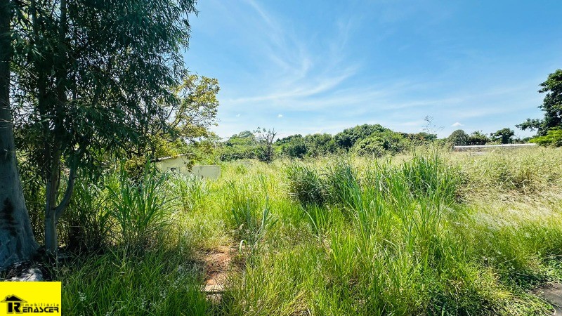 Terreno / Lote / Condomínio  à venda, 2400m² — foto 3 de 10