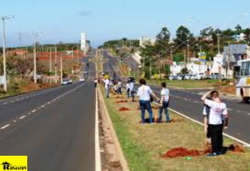 Terreno / Lote / Condomínio  à venda, 348m² — foto 6 de 10