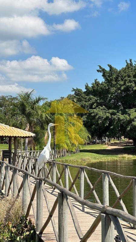 Terreno / Lote / Condomínio  à venda, 1000m² — foto 7 de 23