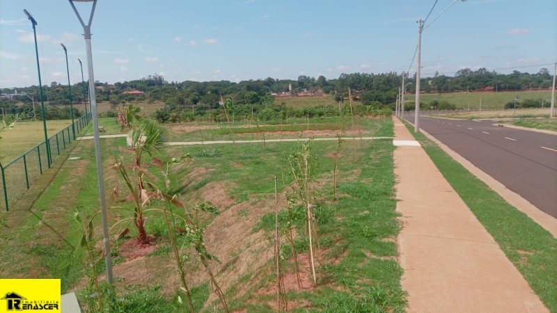 Terreno / Lote / Condomínio  à venda, 300m² — foto 14 de 19