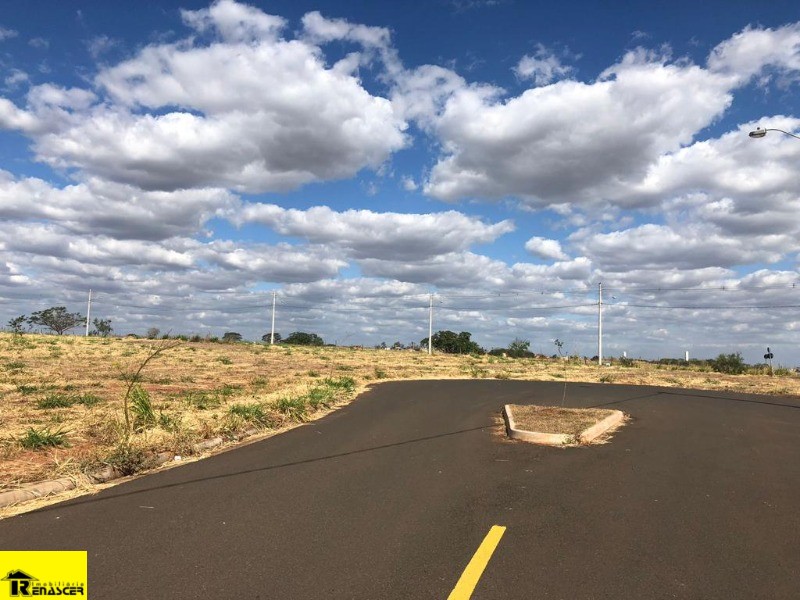 Terreno / Lote / Condomínio  à venda, 296m² — foto 6 de 15