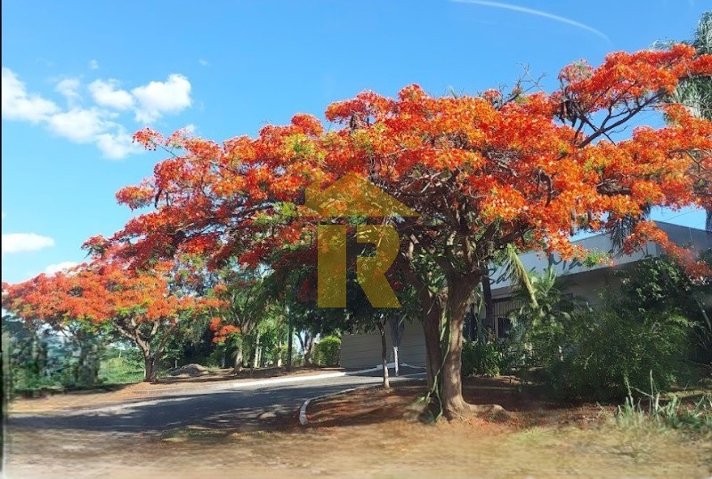 Terreno / Lote / Condomínio  à venda, 825m² — foto 9 de 9