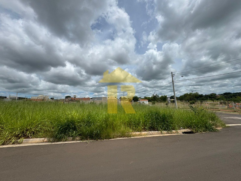 Terreno / Lote / Condomínio  à venda, 248m² — foto 4 de 12