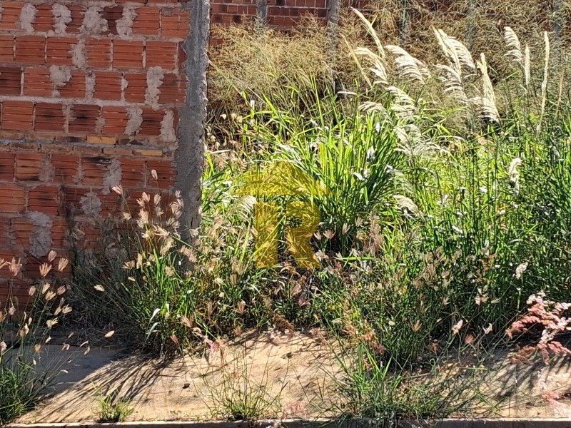 Terreno / Lote / Condomínio  à venda, 200m² — foto 4 de 12