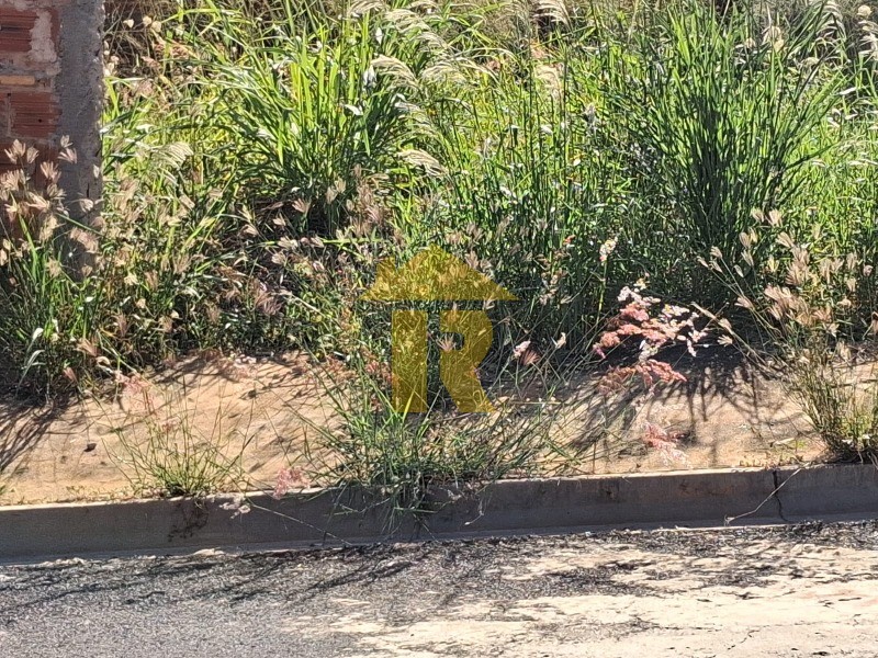 Terreno / Lote / Condomínio  à venda, 200m² — foto 3 de 12