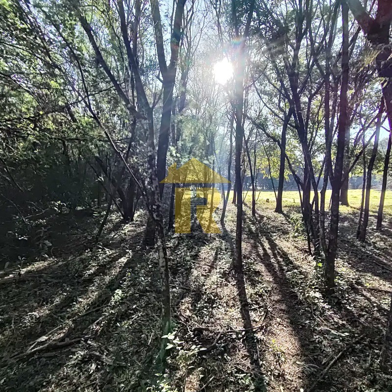 Terreno / Lote / Condomínio  à venda, 66000m² — foto 21 de 23