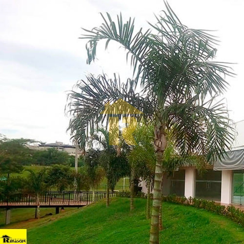 Terreno / Lote / Condomínio  à venda, 400m² — foto 12 de 20