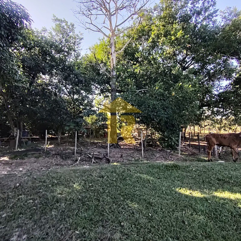 Terreno / Lote / Condomínio  à venda, 66000m² — foto 15 de 23