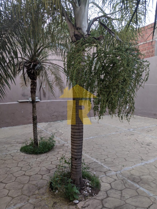 Casa com 2 quartos à venda, 145m² — foto 17 de 23