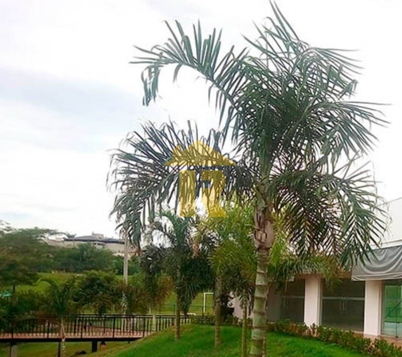 Casa de Condomínio com 4 quartos à venda, 280m² — foto 24 de 29
