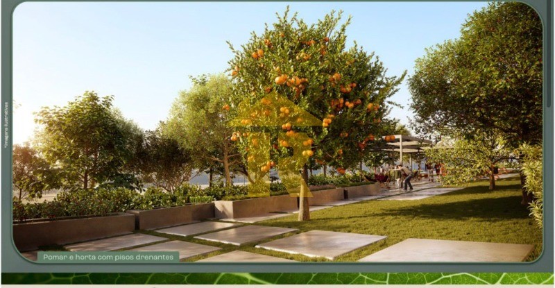 Terreno / Lote / Condomínio  à venda, 264m² — foto 3 de 20