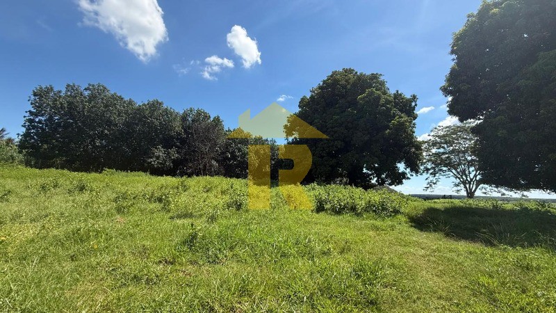 Terreno / Lote / Condomínio  à venda, 145200m² — foto 22 de 23