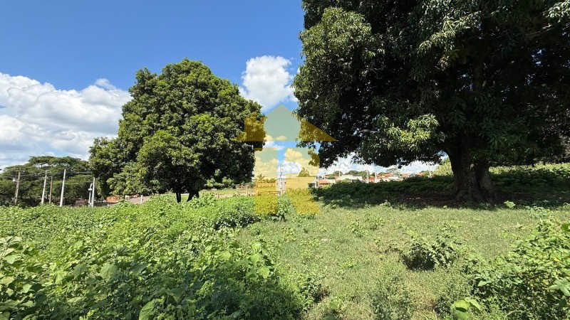 Terreno / Lote / Condomínio  à venda, 145200m² — foto 19 de 23
