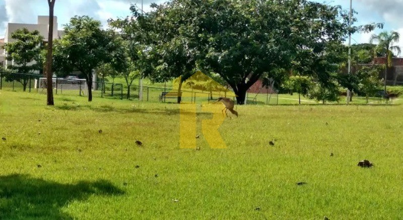 Terreno / Lote / Condomínio  à venda, 520m² — foto 18 de 20