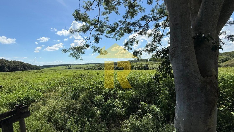 Terreno / Lote / Condomínio  à venda, 145200m² — foto 17 de 23