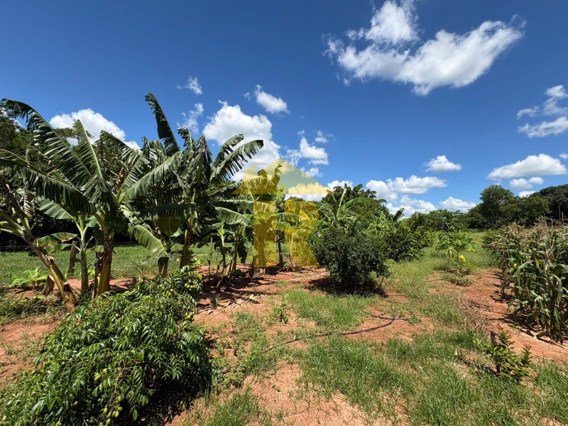 Terreno / Lote / Condomínio  à venda, 4000m² — foto 34 de 39