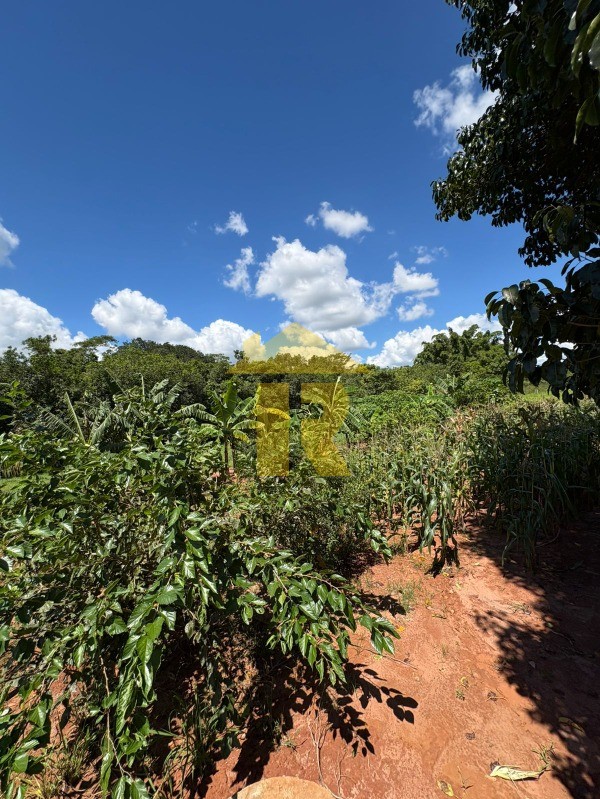 Terreno / Lote / Condomínio  à venda, 4000m² — foto 33 de 39