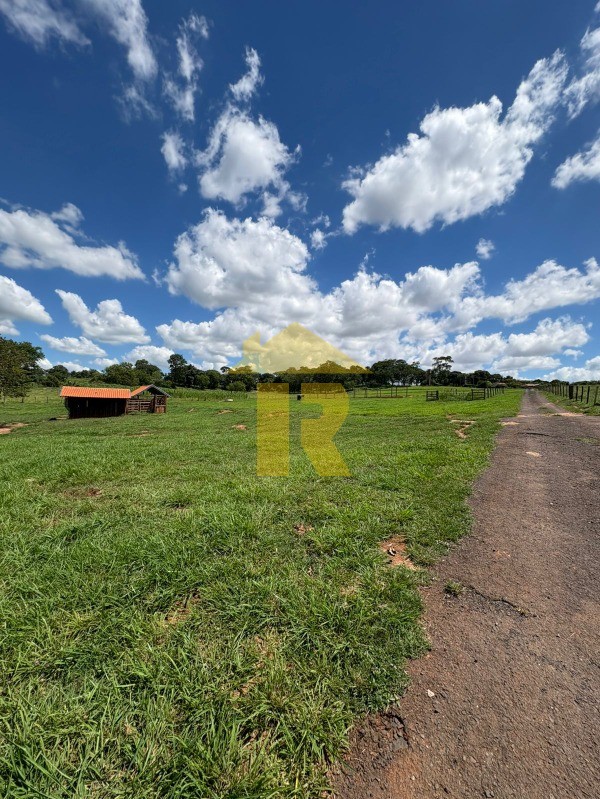Terreno / Lote / Condomínio  à venda, 4000m² — foto 36 de 39