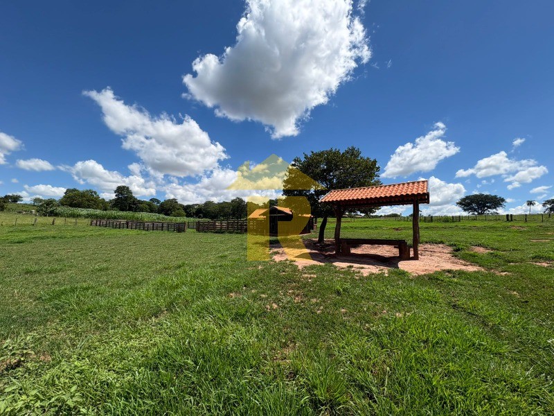 Terreno / Lote / Condomínio  à venda, 4000m² — foto 24 de 39