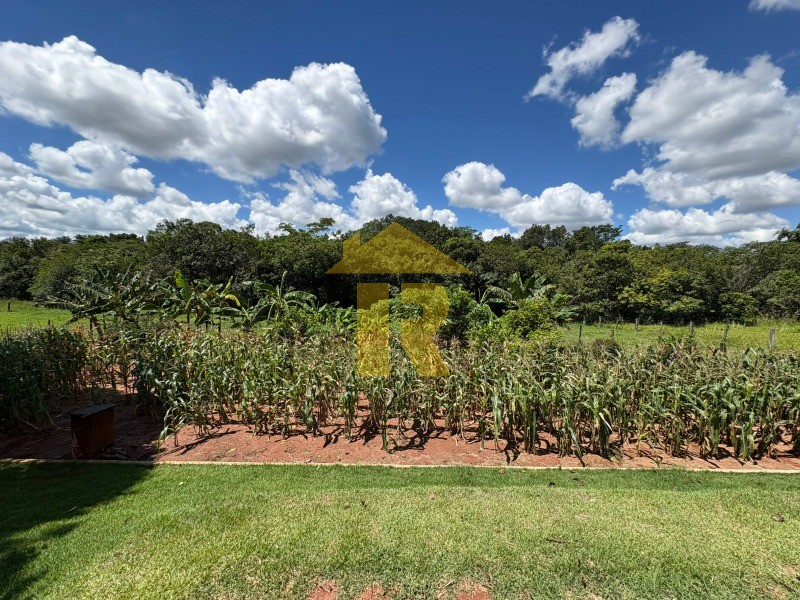 Terreno / Lote / Condomínio  à venda, 4000m² — foto 30 de 39