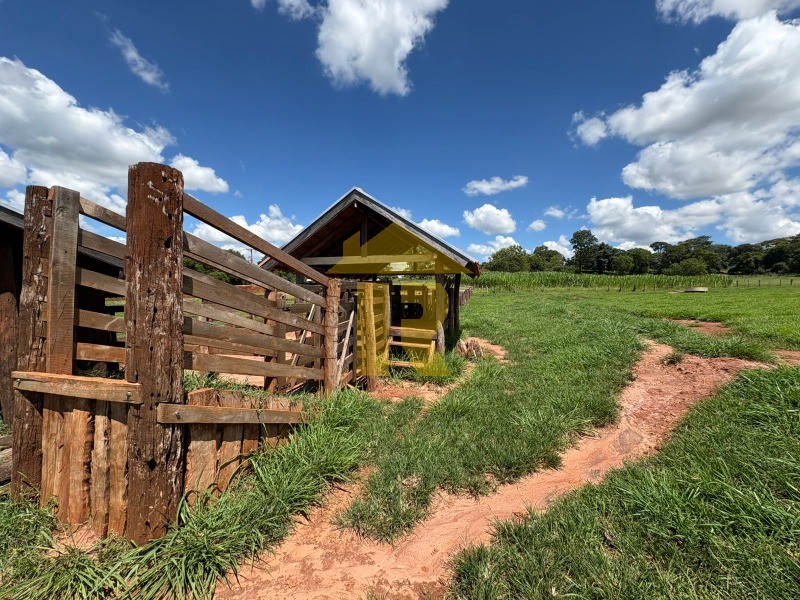 Terreno / Lote / Condomínio  à venda, 4000m² — foto 22 de 39