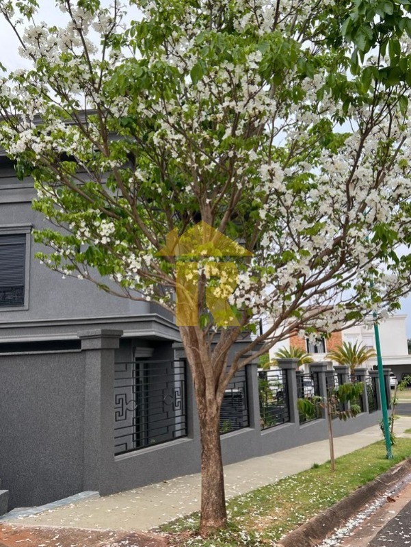 Casa de Condomínio com 5 quartos à venda, 541m² — foto 5 de 56