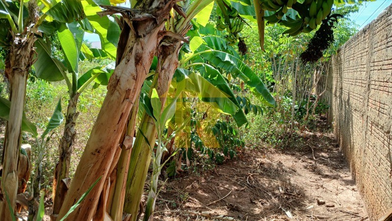 Terreno / Lote / Condomínio  à venda, 1086m² — foto 14 de 22
