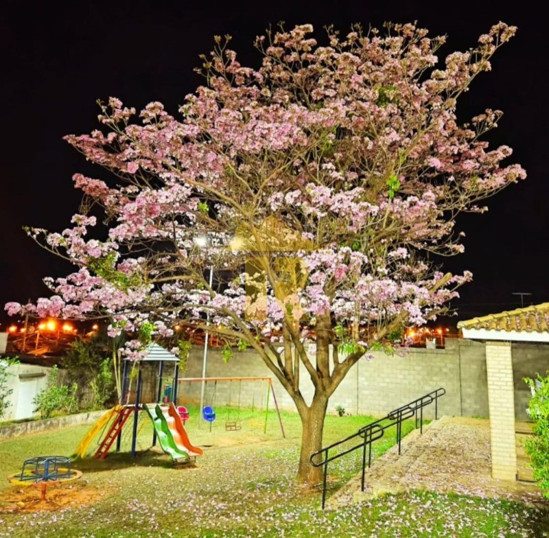 Casa de Condomínio com 2 quartos para aluguel, 70m² — foto 25 de 38
