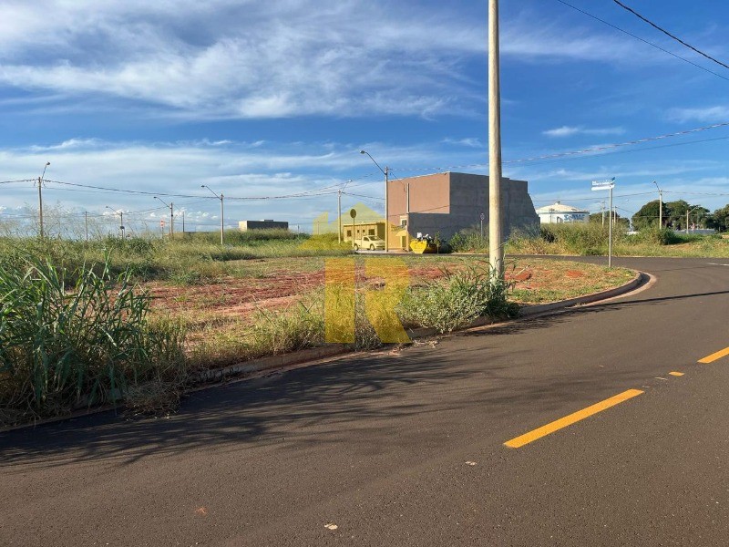 Terreno / Lote / Condomínio  à venda, 204m² — foto 8 de 12